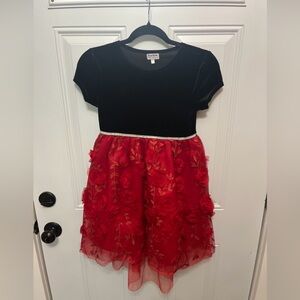 Blueberi Boulevard black velvet and floral tulle Dress 10